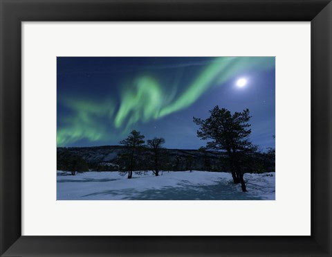 Framed Aurora Borealis, Forramarka, Troms, Norway Print