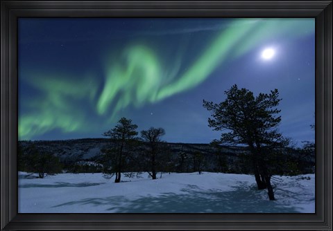 Framed Aurora Borealis, Forramarka, Troms, Norway Print