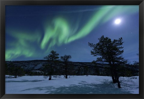 Framed Aurora Borealis, Forramarka, Troms, Norway Print