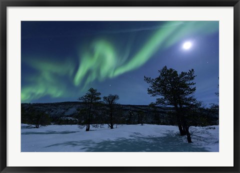 Framed Aurora Borealis, Forramarka, Troms, Norway Print