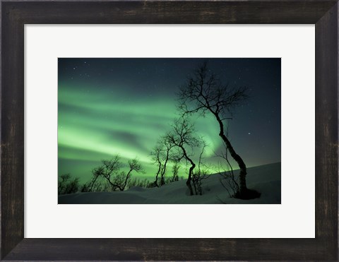 Framed Northern Lights in the arctic wilderness, Nordland, Norway Print
