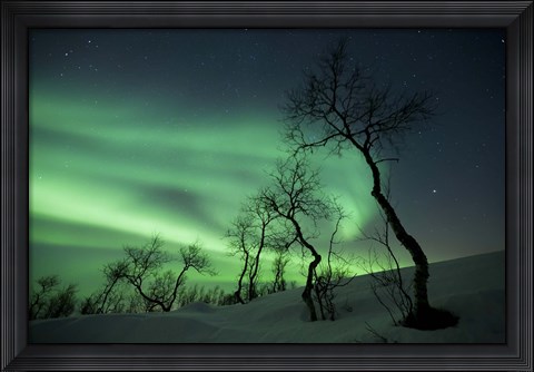 Framed Northern Lights in the arctic wilderness, Nordland, Norway Print