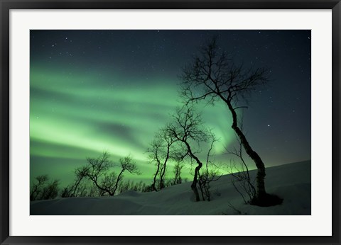 Framed Northern Lights in the arctic wilderness, Nordland, Norway Print