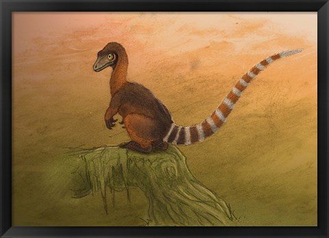 Framed Sinosauropteryx dinosaur resting on a log Print