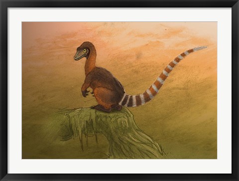 Framed Sinosauropteryx dinosaur resting on a log Print