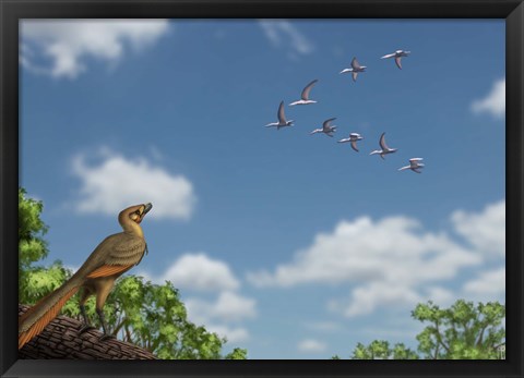 Framed Archaeopteryx observing a flock of migrating pterosaurs Print