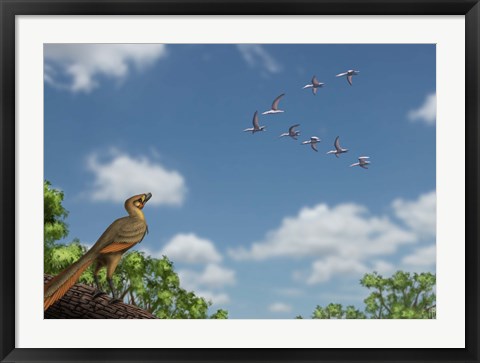 Framed Archaeopteryx observing a flock of migrating pterosaurs Print