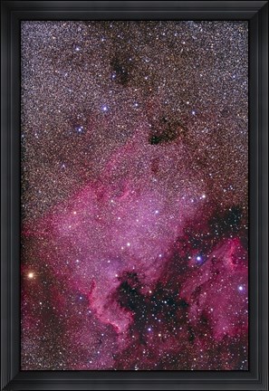 Framed NGC 7000 and the Pelican Nebula Print