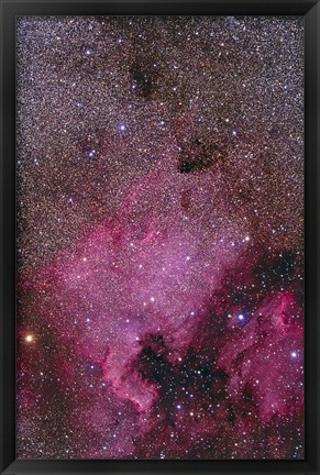 Framed NGC 7000 and the Pelican Nebula Print