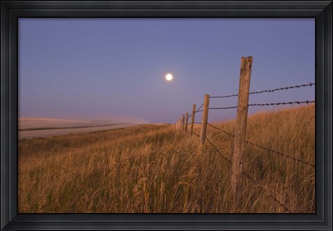 Framed Harvest Moon down the road, Gleichen, Alberta, Canada Print