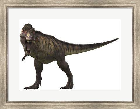 Framed Tyranosaurus Rex Print