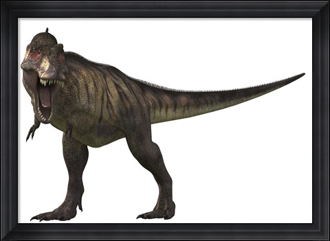 Framed Tyranosaurus Rex Print