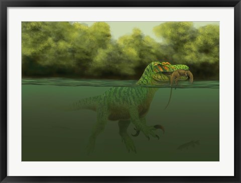 Framed Baryonyx escapes swimming from a brawl with a Hypsilophodon in his mouth Print