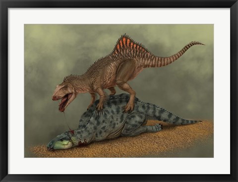 Framed Concavenator kills a young iguanodon dinosaur Print