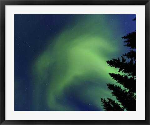 Framed Aurora Borealis in Troms County, Norway Print