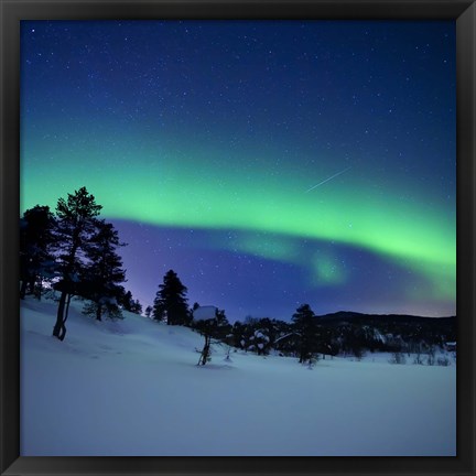 Framed Aurora Borealis and a shooting star in the woods of Troms County, Norway Print