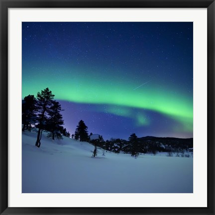 Framed Aurora Borealis and a shooting star in the woods of Troms County, Norway Print