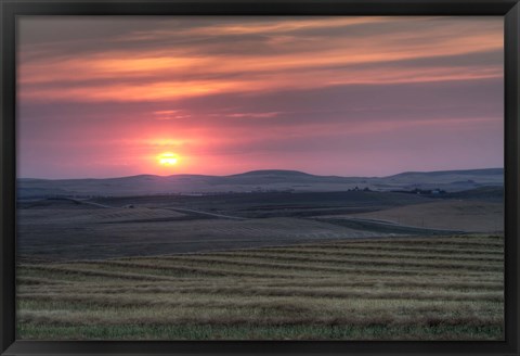 Framed Setting sun over harvested field, Gleichen, Alberta, Canada Print