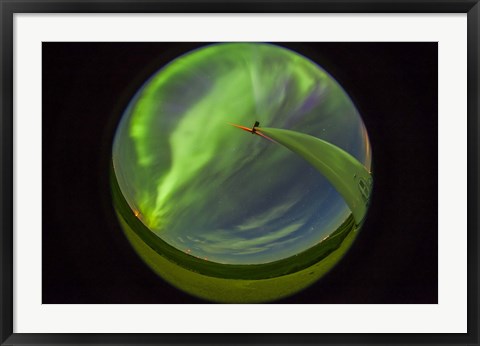 Framed aurora display taken from Wintering Hills Wind Farm, Alberta, Canada Print