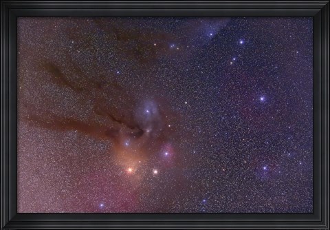 Framed Antares and Scorpius Head area with Rho Ophiuchi nebulosity Print