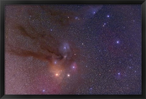 Framed Antares and Scorpius Head area with Rho Ophiuchi nebulosity Print