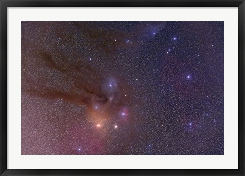 Framed Antares and Scorpius Head area with Rho Ophiuchi nebulosity Print