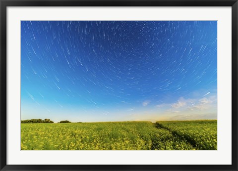 Framed Circumpolar star trails over a canola field in southern Alberta, Canada Print