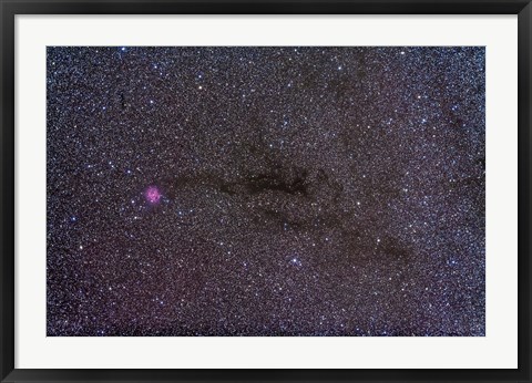 Framed Cocoon Nebula in the constellation Cygnus Print
