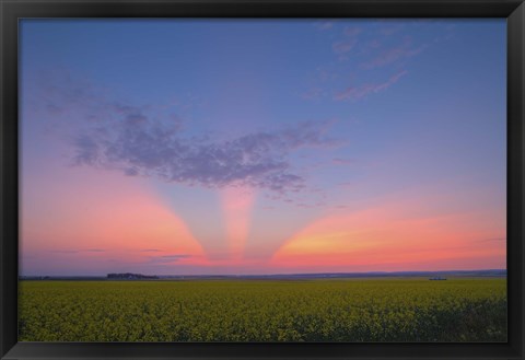 Framed Crepuscular rays at sunset, Alberta, Canada Print