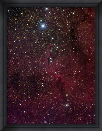 Framed Elephant&#39;s trunk nebula inside IC 1396 Print
