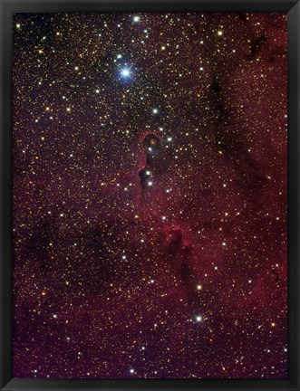 Framed Elephant&#39;s trunk nebula inside IC 1396 Print