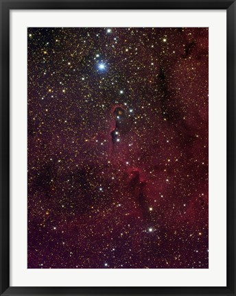 Framed Elephant&#39;s trunk nebula inside IC 1396 Print