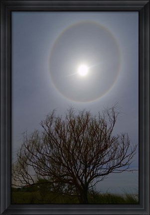Framed 22 degrees halo around the 2013 supermoon Print