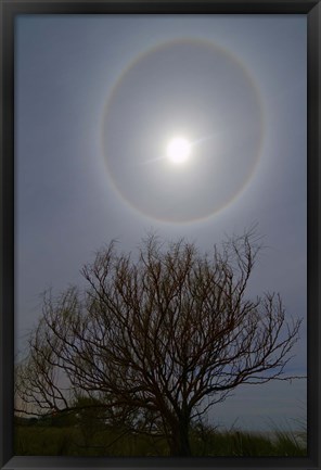 Framed 22 degrees halo around the 2013 supermoon Print