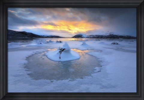 Framed frozen fjord that is part of Tjeldsundet in Troms County, Norway Print