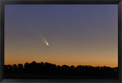 Framed Comet Panstarrs at twilight,  Buenos Aires, Argentina Print