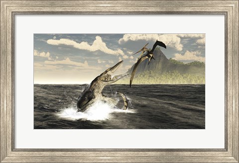 Framed Tylosaurus jumps out of the water, attacking a Pteranodon Print