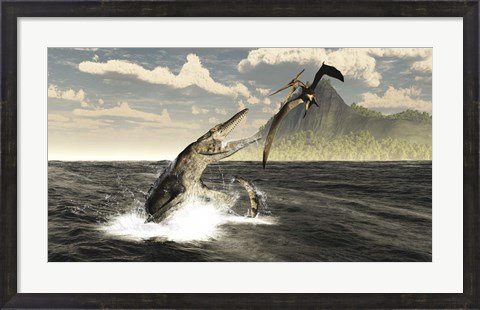Framed Tylosaurus jumps out of the water, attacking a Pteranodon Print