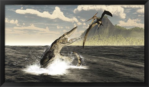 Framed Tylosaurus jumps out of the water, attacking a Pteranodon Print