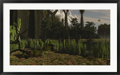 Framed Carboniferous forest of the Eastern United States 300 million years ago Print