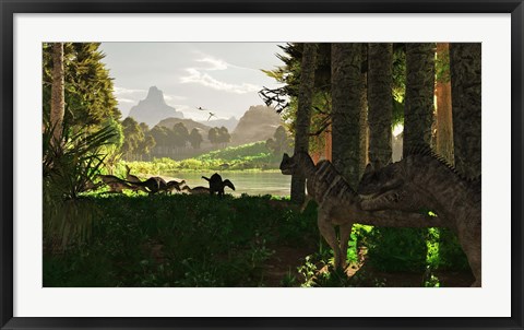 Framed Ceratosaurus dinosaurs stalk a herd of Camptosaurus eating plants Print