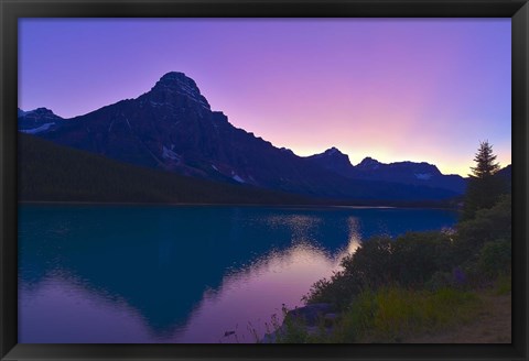 Framed Twilight at Mt Cephren, Waterfowl Lakes, Banff National Park, Alberta, Canada Print