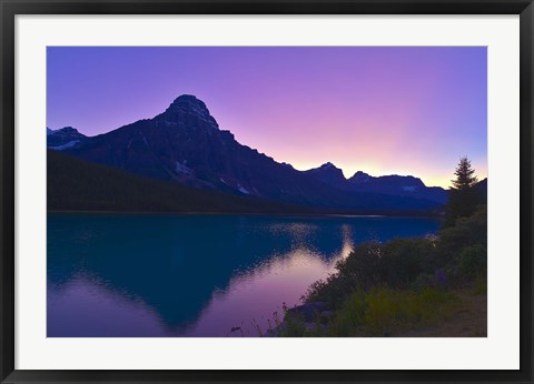Framed Twilight at Mt Cephren, Waterfowl Lakes, Banff National Park, Alberta, Canada Print