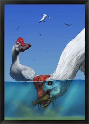 Framed Two Citipati&#39;s hunting crabs Print