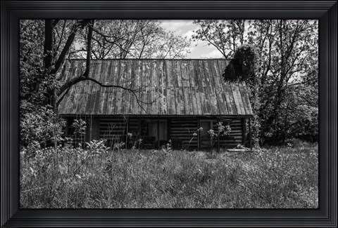 Framed Abandoned Log Home Print
