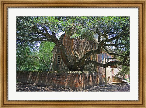 Framed Colonial Architechture Print