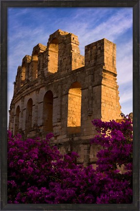 Framed Ancient Roman Amphitheater with flowers, El Jem, Tunisia Print
