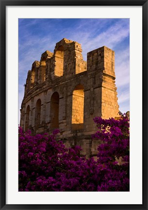 Framed Ancient Roman Amphitheater with flowers, El Jem, Tunisia Print