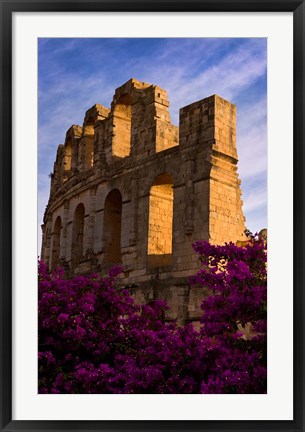 Framed Ancient Roman Amphitheater with flowers, El Jem, Tunisia Print