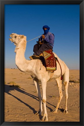 Framed Bedouin man on camel, Douz, Sahara Tunisia, Africa Print